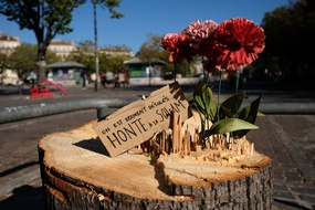 La Soleam est une société chargée notamment de réhabiliter le centre-ville de Marseille