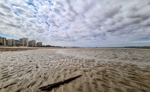 La plage de Malo-les-Bains, à Dunkerque (illustration).