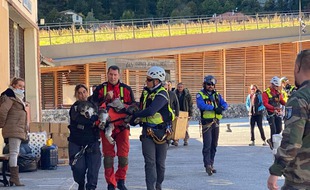 Le loup capturé fait partie de la meute du Boréon