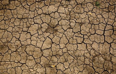 Sécheresse record pour un début juillet en Europe et en Méditerranée