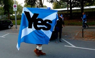 Un supporter de l'Ecosse lors d'un match contre l'Allemagne, le 7 septembre 2014.