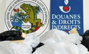De la cocaïne saisie par l'Ocrtis à Fort-de-France le 22 juin 2010