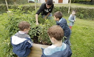 Un atelier périscolaire sur le jardinage mis en oeuvre dans le cadre de la réforme des rythmes scolaires.