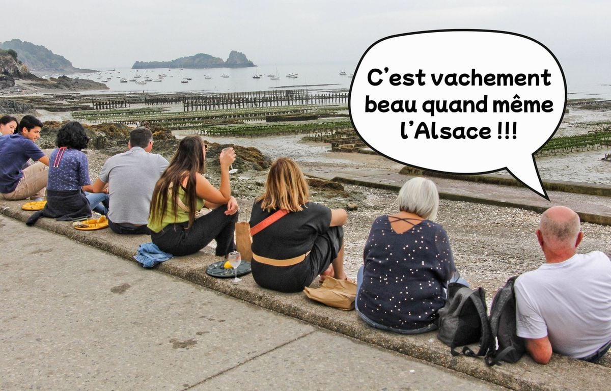 « Ça se mange la cigogne ? »... Les questions les plus zinzins entendues dans les offices du tourisme