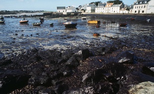 Une plage du Finistère ravagée par le pétrole déversé par l'Amoco Cadiz, échoué au large de Portsall, dans le Finistère, en 1978.