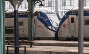 Des trains SNCF à l'arrêt