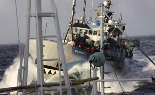 Un bateau de l'organisation écologique Sea Shepherd.