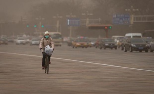 La pollution de l'air augmente le risque pour les femmes enceintes de donner naissance à des bébés de petit poids au tour du crâne diminué, selon une étude européenne sur plus de 74.000 femmes enceintes publiée mardi.