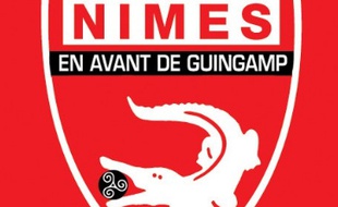 Quand Nîmes propose de fusionner avec Guingamp...