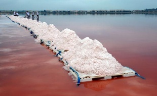 La consommation de sel par les Français a diminué depuis 2003 mais pas suffisamment, selon un rapport diffusé vendredi par l'Agence nationale de sécurité sanitaire de l'alimentation, de l'environnement et du travail (Anses).