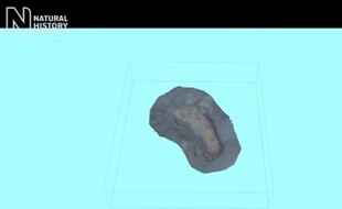 Une trace de pas vieille de 800.000 ans, découverte en Angleterre.