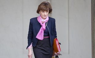 Michèle Delaunay à la sortie d'un conseil des ministres, à Paris le 10 avril 2013.