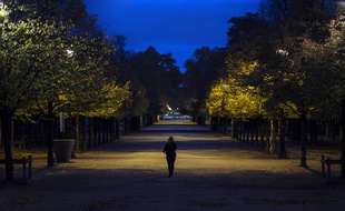 Le Parc des Tuileries à Paris (octobre 2020).