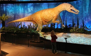 Une reproduction de dinosaure, le 9 décembre 2009 au Palais de la découverte à Paris
