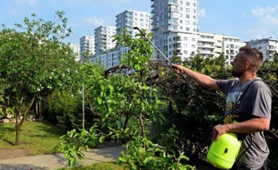 Un habitant de Varsovie s'active dans son jardin niché au coeur le centre ville, le 18 mai 2015