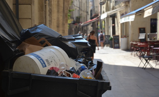 Une poubelle, dans l'Ecusson, à Montpellier (illustration)