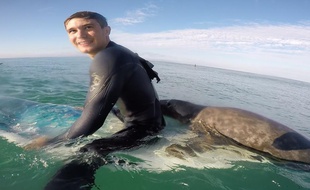 Romain a surfé aux côtés d'un phoque le 5 septembre 2016 à Plouharnel, dans le Morbihan.