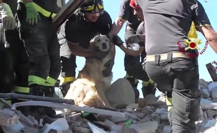 Romeo a été sauvé par les pompiers, dix jours après le séisme à Amatrice.