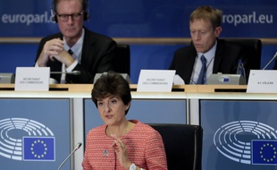Sylvie Goulard