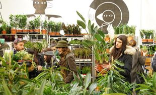 Une vente organisée par le collectif «Plantes pour Tous»