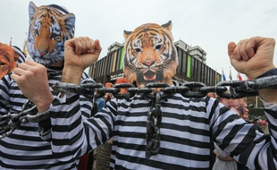 Des manifestatants contre les animaux sauvages dans les cirques, à Strasbourg, avril 2018.