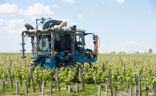 Un épandage dans des vignes bordelaises.