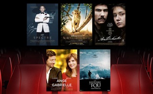 Photo-montage des films pour le vote 20 minutes et le Lab Ecran Total n°14