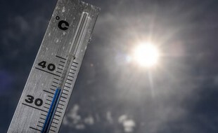 L'année 2020 a terminé à 1,25°C au dessus de la période pré-industrielle