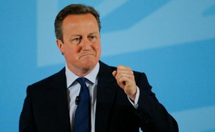 le Premier ministre britannique David Cameron, le 17 mai 2016 à Londres