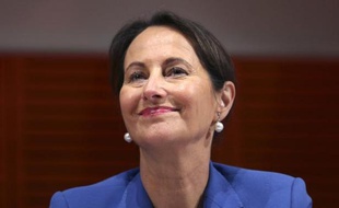 La ministre de l'Ecologie Segolène Royal le 15 ocotbre 2014 à Lyon