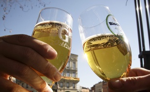 Verres de bière, à Toulouse.