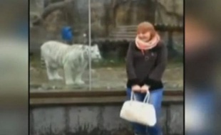 Extrait de la vidéo d'une touriste russe dans un zoo.