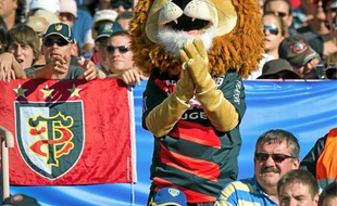 Ovalion, le lion du Stade Toulousain, est soumis à un règlement très strict.