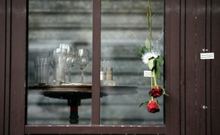 Des roses glissées dans les impacts de balle sur la vitrine de la "Bonne Bière" en hommage aux victimes, le 17 novembre 2015 à Paris
