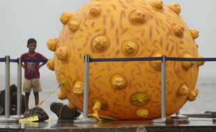 La réplique du virus de l'hépatite C en Inde, l'un des pays les plus touchés par la maladie.