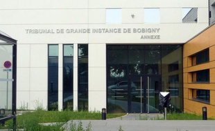 La comparution de migrants illégaux dans un tribunal spécialement aménagé près de l'aéroport parisien de Roissy pourrait porter atteinte aux droits de la défense, s'inquiétait en 2013 le Conseil de l'Europe.