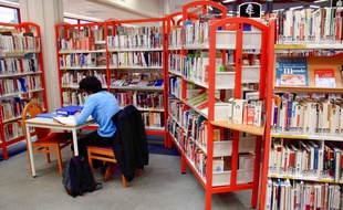 Illustration d'une bibliothèque.