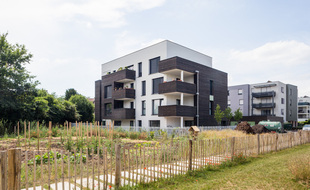Vue du bâtiment du LieuCommun à Strasbourg, avec jardin partagé.