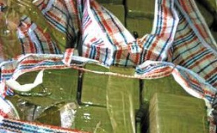 La drogue, achetée au Maroc, effectuait une étape à Montpellier.