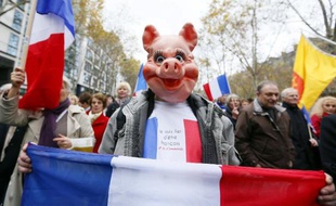 Une manifestation organisée à Paris le 10 novembre 2012 par Riposte laïque contre "le fascisme islamiste"