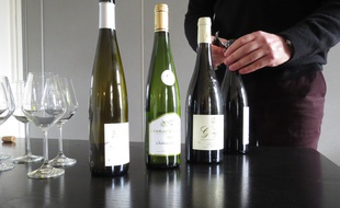 A Nantes, le 5 février 2016- Illustrations de bouteilles de vins de Nantes / muscadet