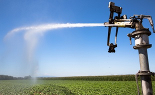 Illustration sur l'irrigation d'un champ.