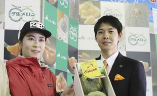 Les deux melons Yubari, adjugés pour 3,2 millions de yens le 26 mai 2018 au Japon.