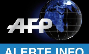 Un avion de ligne malaisien s'écrase dans l'Est de l'Ukraine