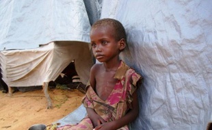 L'Organisation de l'ONU pour l'alimentation et l'agriculture (FAO) a revu à la baisse mardi le nombre de personnes affamées dans le monde, à près de 870 millions, un chiffre toujours "inacceptable", et a déploré le ralentissement de cette baisse ces dernières années.