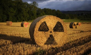 Des déchets contaminés issus de l'industrie chimique bâloise ont été déposés en 1972 dans des chemins situés sur deux communes françaises proches de la frontière suisse