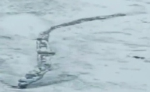 Un monstre aquatique aurait été vu dans une rivière islandaise.