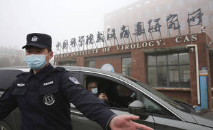 Arrivée de l’équipe de l'OMS au centre de virologie de Wuhan, le 3 février 2021.