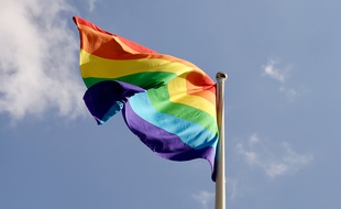 Le drapeau arc-en-ciel. Illustration.