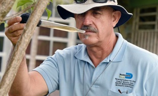 L'inspecteur Carlos Vargas traque les larves du moustique Aedes aegypti, le 8 juin 2016 à Miami